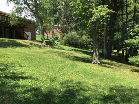 225 SE Apple Drive Wise Va 24293, Wise, VA 24293 photo 45