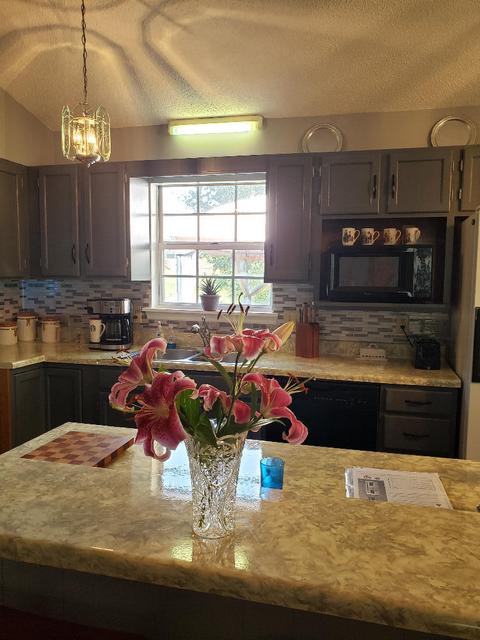 108 Springview Drive Gray Tn 37615, Gray, TN 37615 photo 3