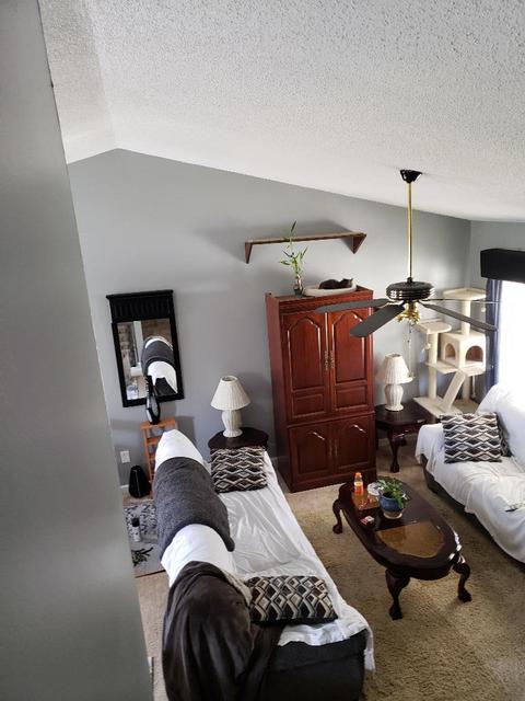 108 Springview Drive Gray Tn 37615, Gray, TN 37615 photo 5
