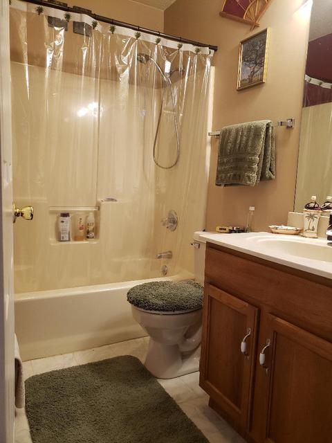 108 Springview Drive Gray Tn 37615, Gray, TN 37615 photo 11