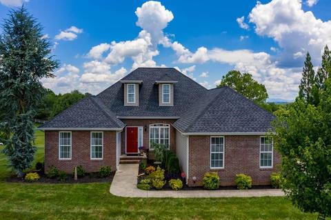 131 Ridgeview Meadows Drive Gray Tn 37615, Gray, TN 37615 photo 6