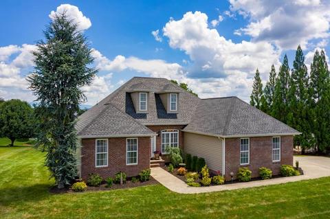 131 Ridgeview Meadows Drive Gray Tn 37615, Gray, TN 37615 photo 7