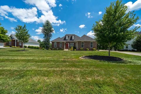131 Ridgeview Meadows Drive Gray Tn 37615, Gray, TN 37615 photo 19