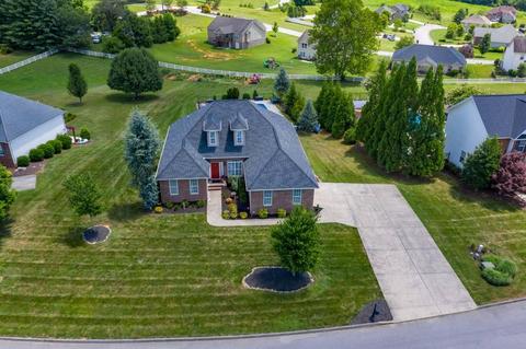 131 Ridgeview Meadows Drive Gray Tn 37615, Gray, TN 37615 photo 2