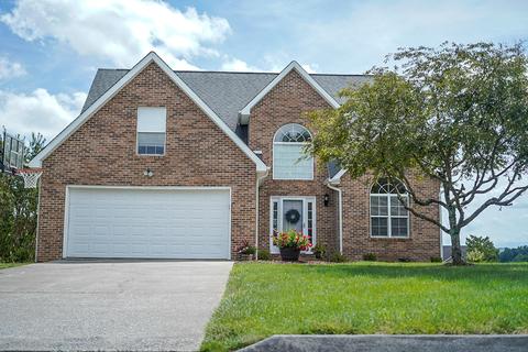 109 Ridgeview Meadows Drive Gray Tn 37615, Gray, TN 37615 photo 1