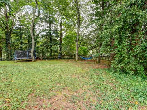2 Pine Timbers Court Johnson City Tn 37604, Johnson City, TN 37604 photo 7