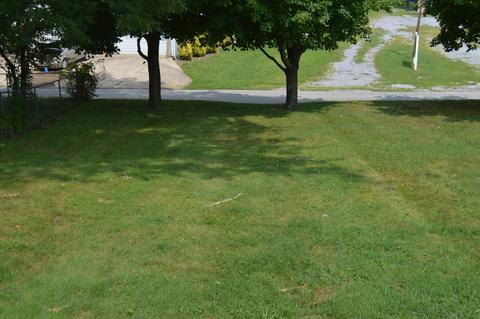 202 Gregory Avenue Greeneville Tn 37745, Greeneville, TN 37745 photo 15