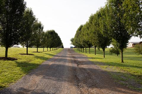 442 Culver Road Limestone Tn 37681, Limestone, TN 37681 photo 6