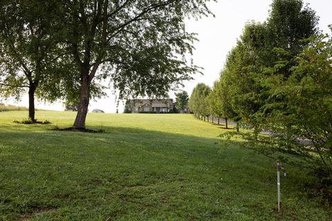 442 Culver Road Limestone Tn 37681, Limestone, TN 37681 photo 2