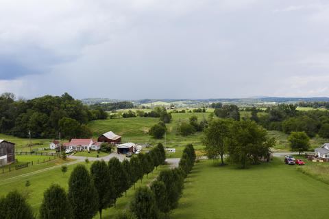 442 Culver Road Limestone Tn 37681, Limestone, TN 37681 photo 55