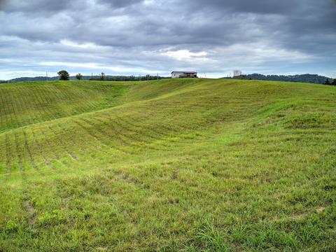 2530 Mt Hope Road Mohawk Tn 37810, Mohawk, TN 37810 photo 8