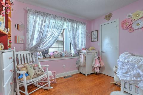 261 Ridgeview Drive Gray Tn 37615, Gray, TN 37615 photo 9