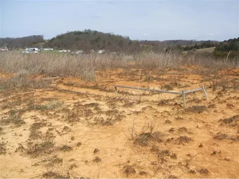 161 Cecil White Road Limestone Tn 37681, Limestone, TN 37681 photo 1