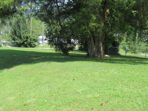 123 East Central Bristol Tn 37620, Bristol, TN 37620 photo 24