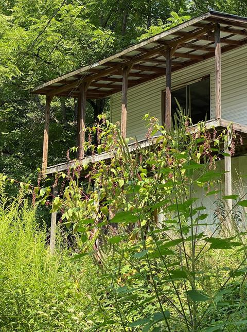 10613 Capricon Road Pound Va 24279, Pound, VA 24279 photo 11