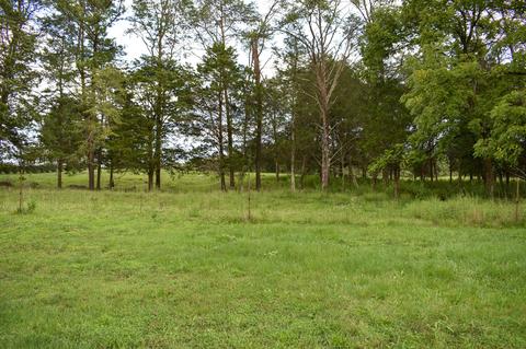 136 Doc Hill Road Rutledge Tn 37861, Rutledge, TN 37861 photo 33