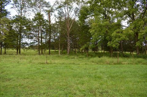 136 Doc Hill Road Rutledge Tn 37861, Rutledge, TN 37861 photo 32