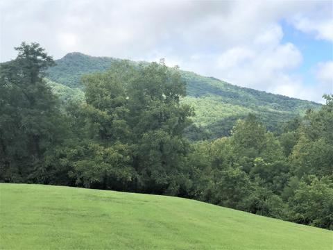 125 Nelse Roberts Road Chuckey Tn 37641, Chuckey, TN 37641 photo 3