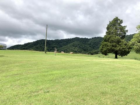 125 Nelse Roberts Road Chuckey Tn 37641, Chuckey, TN 37641 photo 24