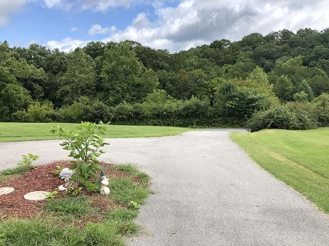 125 Nelse Roberts Road Chuckey Tn 37641, Chuckey, TN 37641 photo 31