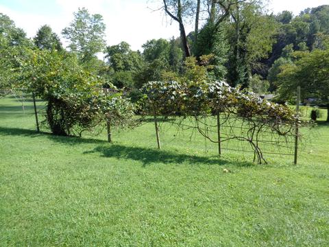144 Oakview Drive Drive Bristol Va 24201, Bristol, VA 24201 photo 11