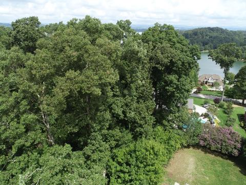 1590 Wind Chase Drive Talbott Tn 37877, Talbott, TN 37877 photo 9