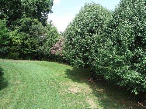 1590 Wind Chase Drive Talbott Tn 37877, Talbott, TN 37877 photo 24