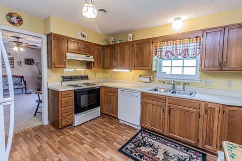 234 Springview Drive Gray Tn 37615, Gray, TN 37615 photo 11