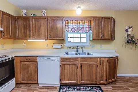 234 Springview Drive Gray Tn 37615, Gray, TN 37615 photo 13