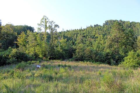 2188 Limestone Valley Road Duffield Va 24244, Duffield, VA 24244 photo 66