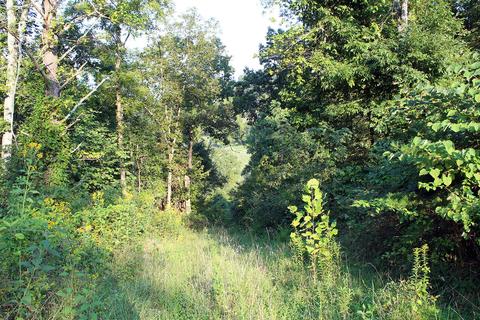 2188 Limestone Valley Road Duffield Va 24244, Duffield, VA 24244 photo 63