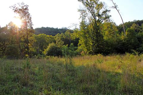 2188 Limestone Valley Road Duffield Va 24244, Duffield, VA 24244 photo 64