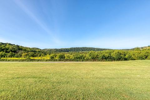 80 Smelcer Road Mohawk Tn 37810, Mohawk, TN 37810 photo 39