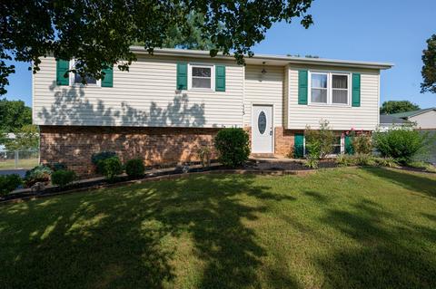 113 Thomas Court Gray Tn 37615, Gray, TN 37615 photo 2