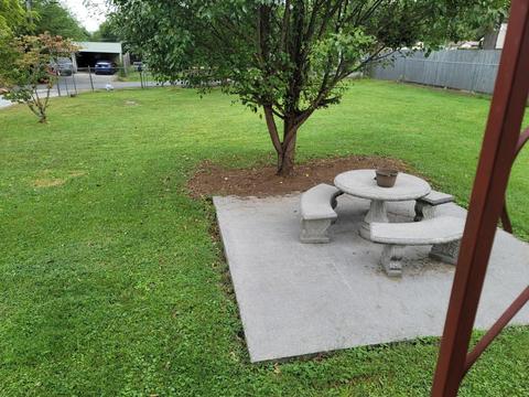 116 Roberts Street Erwin Tn 37650, Erwin, TN 37650 photo 31