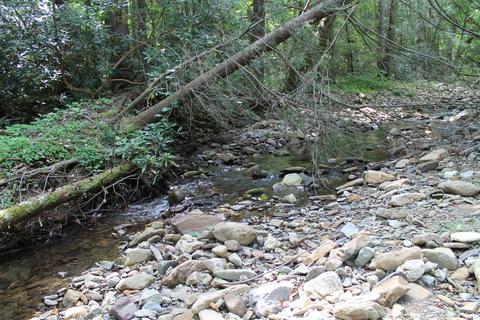 530 Cassi Road Chuckey Tn 37641, Chuckey, TN 37641 photo 7