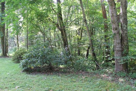 530 Cassi Road Chuckey Tn 37641, Chuckey, TN 37641 photo 2