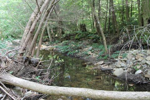 530 Cassi Road Chuckey Tn 37641, Chuckey, TN 37641 photo 6