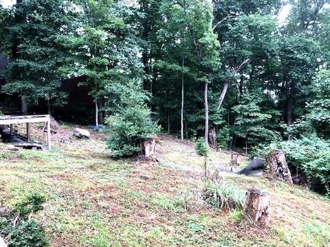 5602 Hackensack Road Wise Va 24293, Wise, VA 24293 photo 13