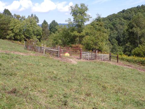 949 Marson Quillen Ewing Va 24248, Ewing, VA 24248 photo 10