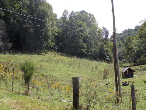 949 Marson Quillen Ewing Va 24248, Ewing, VA 24248 photo 7
