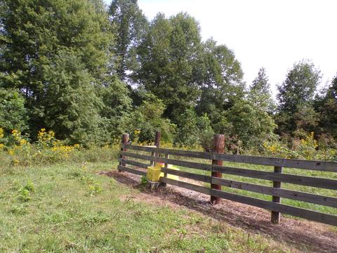 949 Marson Quillen Ewing Va 24248, Ewing, VA 24248 photo 19