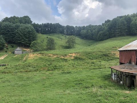 849 Piney Grove Road Hampton Tn 37658, Hampton, TN 37658 photo 7