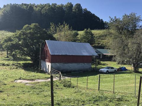 849 Piney Grove Road Hampton Tn 37658, Hampton, TN 37658 photo 9