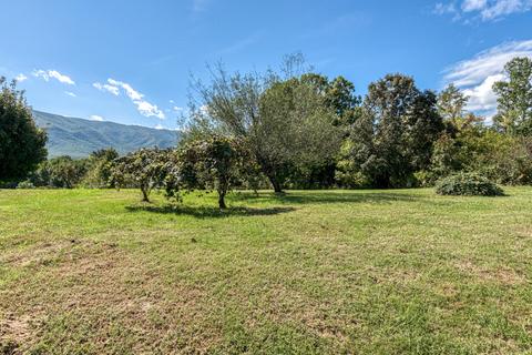 385 Bishop Loop Greeneville Tn 37743, Greeneville, TN 37743 photo 42