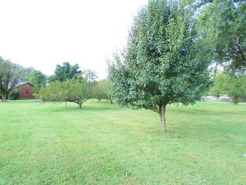 115 Midnight Drive Elizabethton Tn 37643, Elizabethton, TN 37643 photo 35