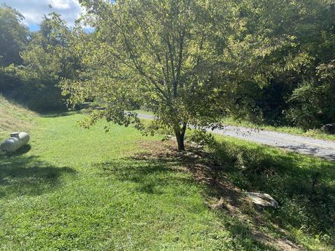 820 Bebe Branch Lane Duffield Va 24244, Duffield, VA 24244 photo 31
