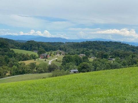 123 Freeman Lane Gray Tn 37615, Gray, TN 37615 photo 6