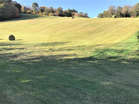 123 Freeman Lane Gray Tn 37615, Gray, TN 37615 photo 10