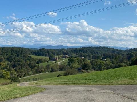 123 Freeman Lane Gray Tn 37615, Gray, TN 37615 photo 59
